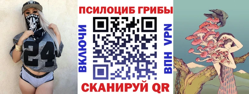 Галлюциногенные грибы MAGIC MUSHROOMS купить закладку shop какой сайт Гуково